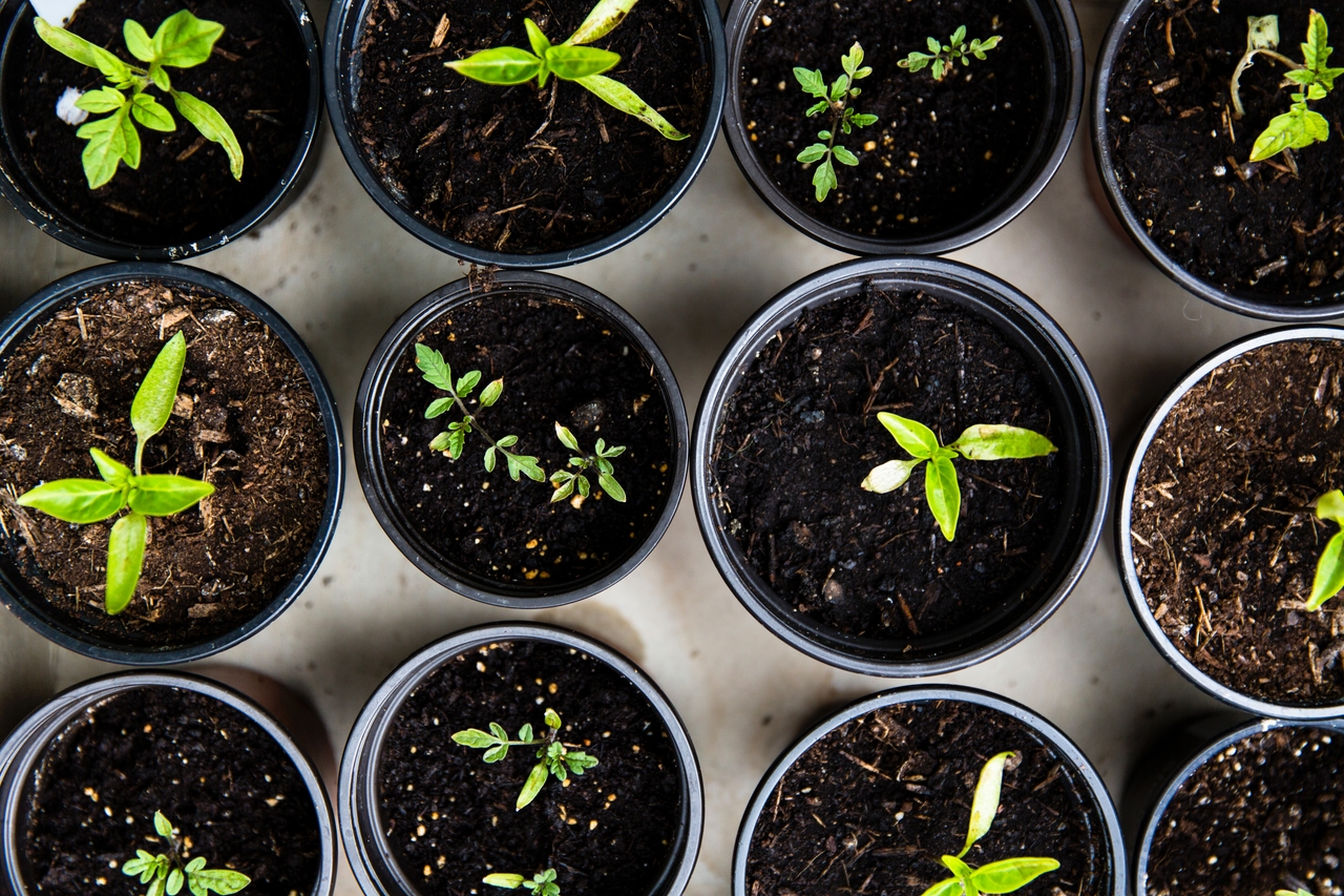 Compliance Framework Selector: Which Framework Should You Pursue First?